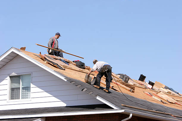 Best Asphalt Shingle Roofing  in Covington, WA
